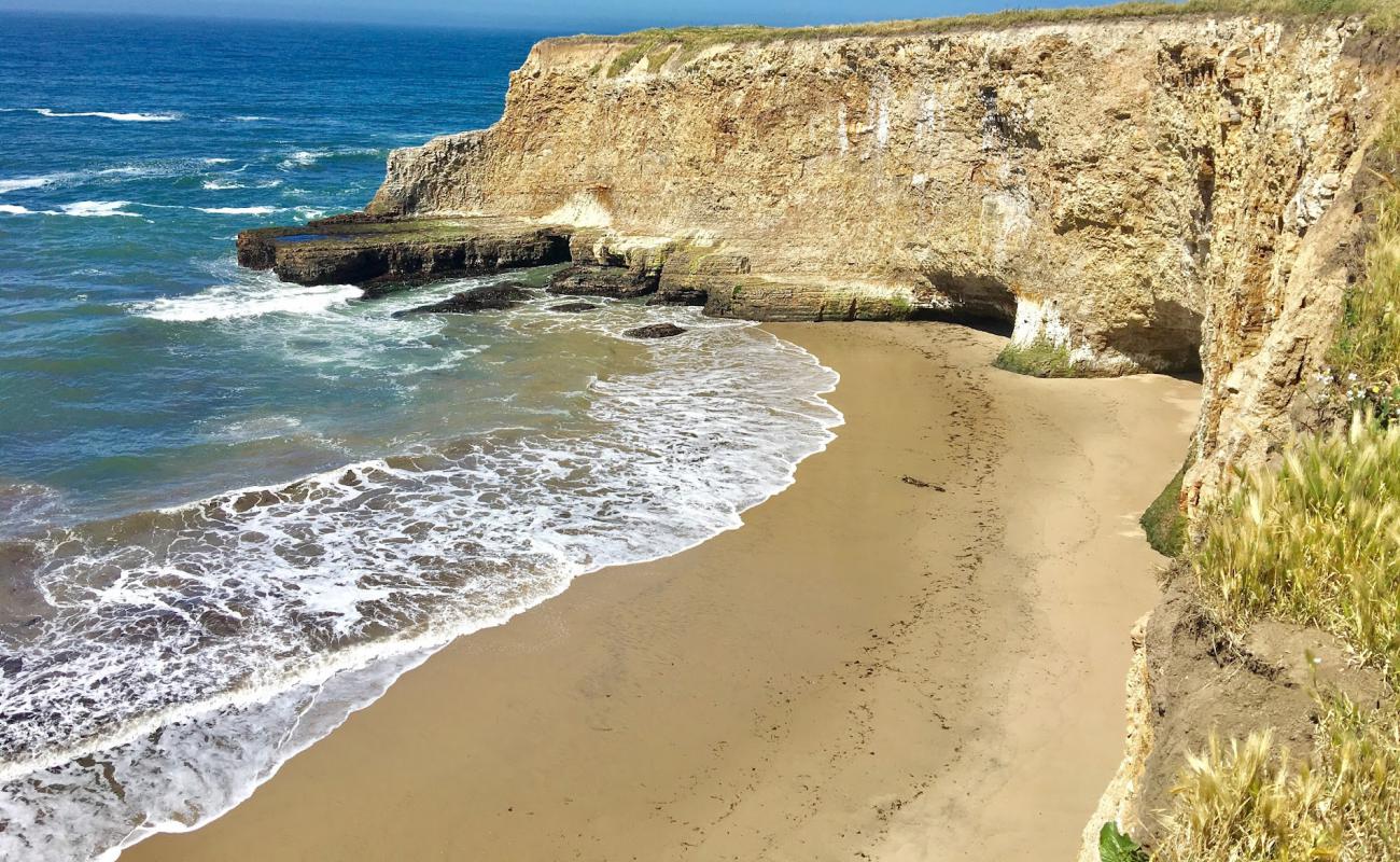 Foto af Davenport Beach med let fin sten overflade