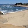 Pescadero Point Beach