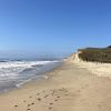 Pescadero Beach II