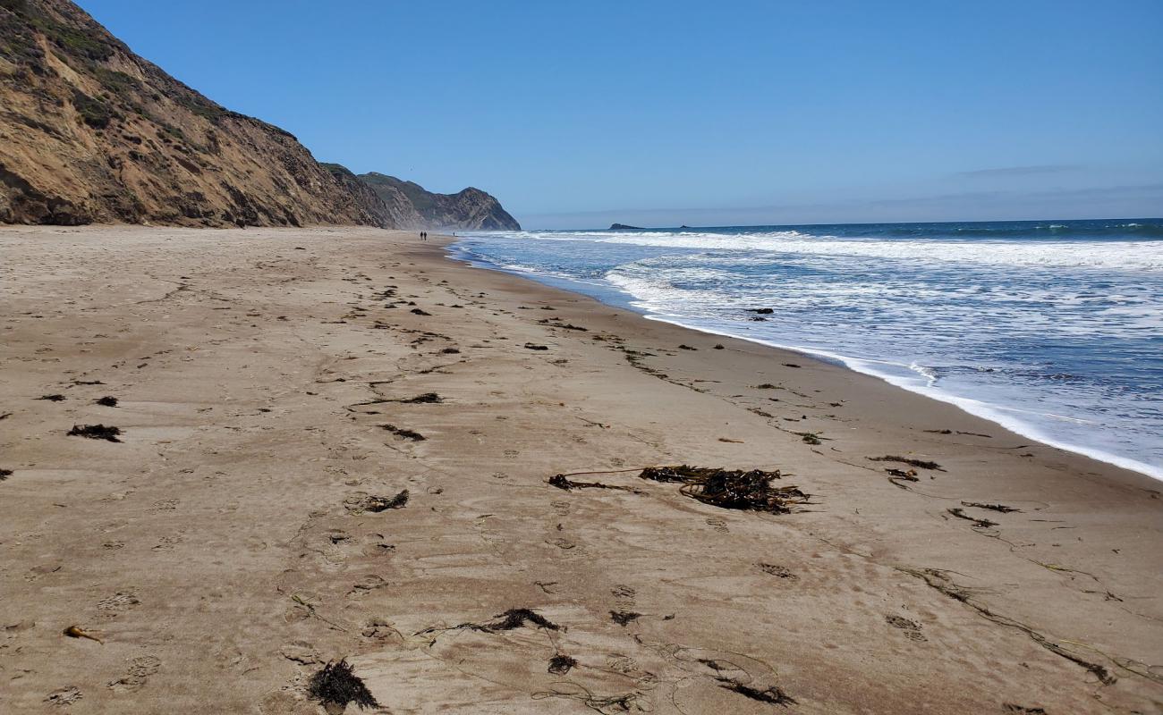 Foto af Wildcat Beach med lys sand overflade