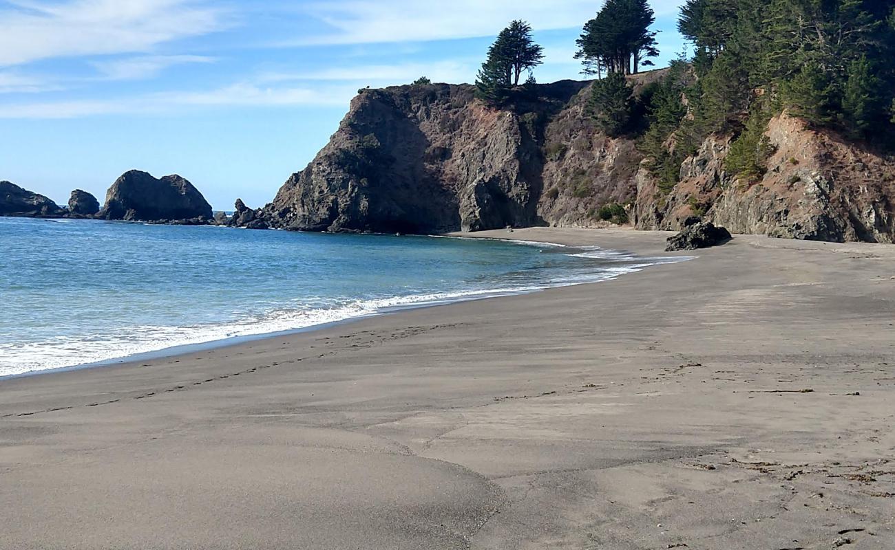 Foto af Navarro Beach med lys sand overflade