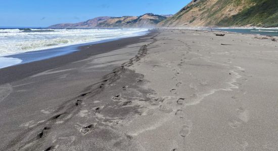 Mattole Beach