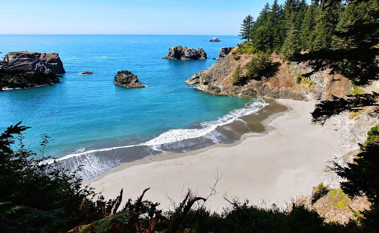 Foto af Secret Beach Oregon med grå sand overflade