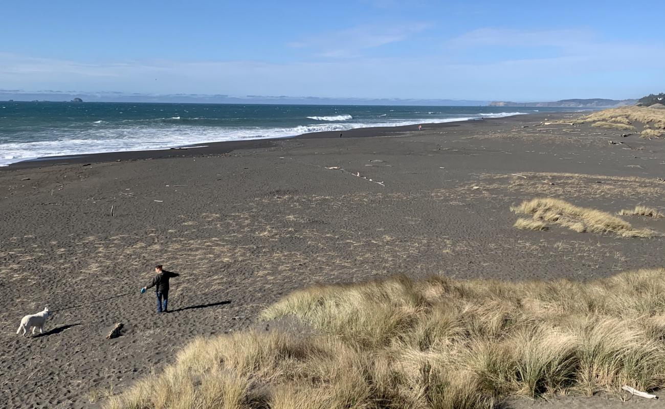 Foto af Agate Beach med gråt sand og småsten overflade