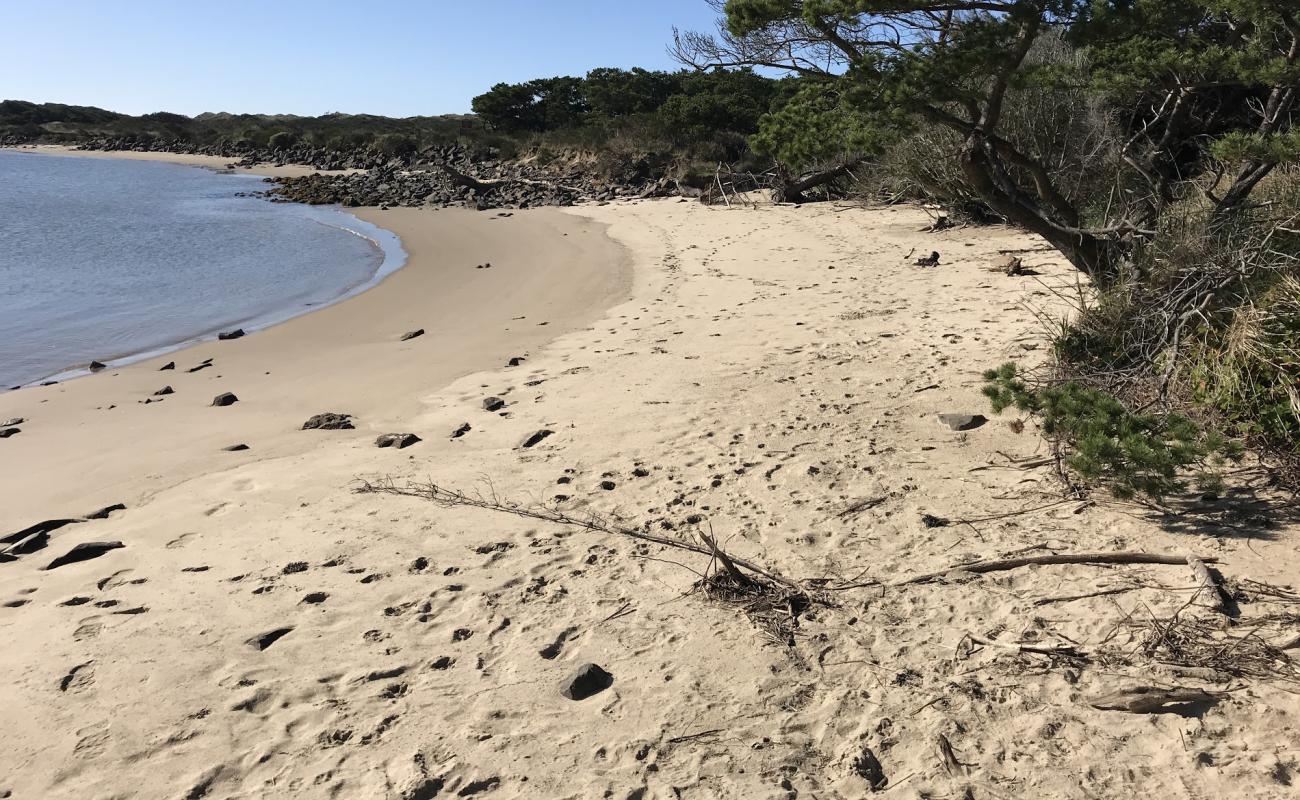 Foto af South Jetty Beach II med lyst sand & sten overflade