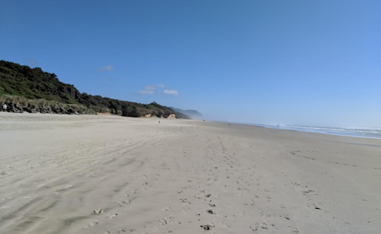 Foto af Tillicum Beach med lys sand overflade