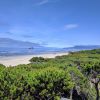 Tillamook County Beach