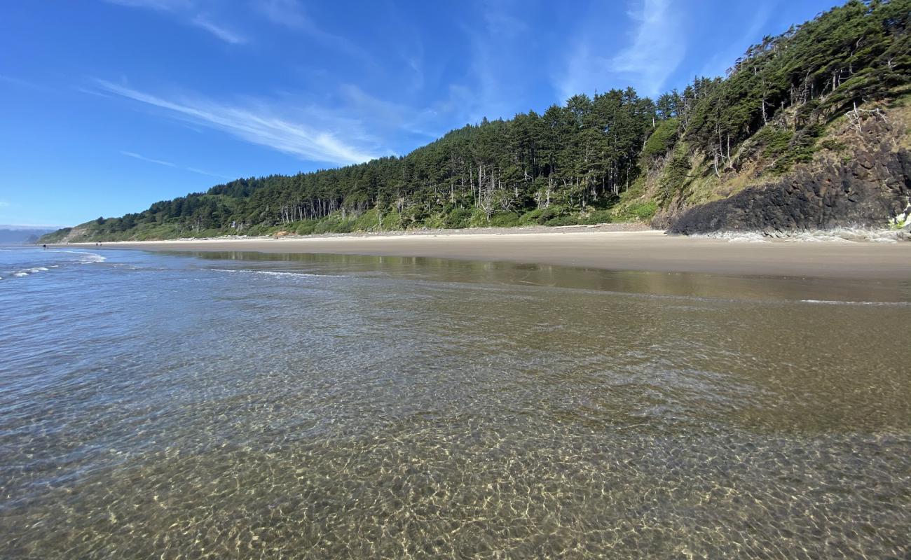 Foto af Arcadia Beach med lys sand overflade