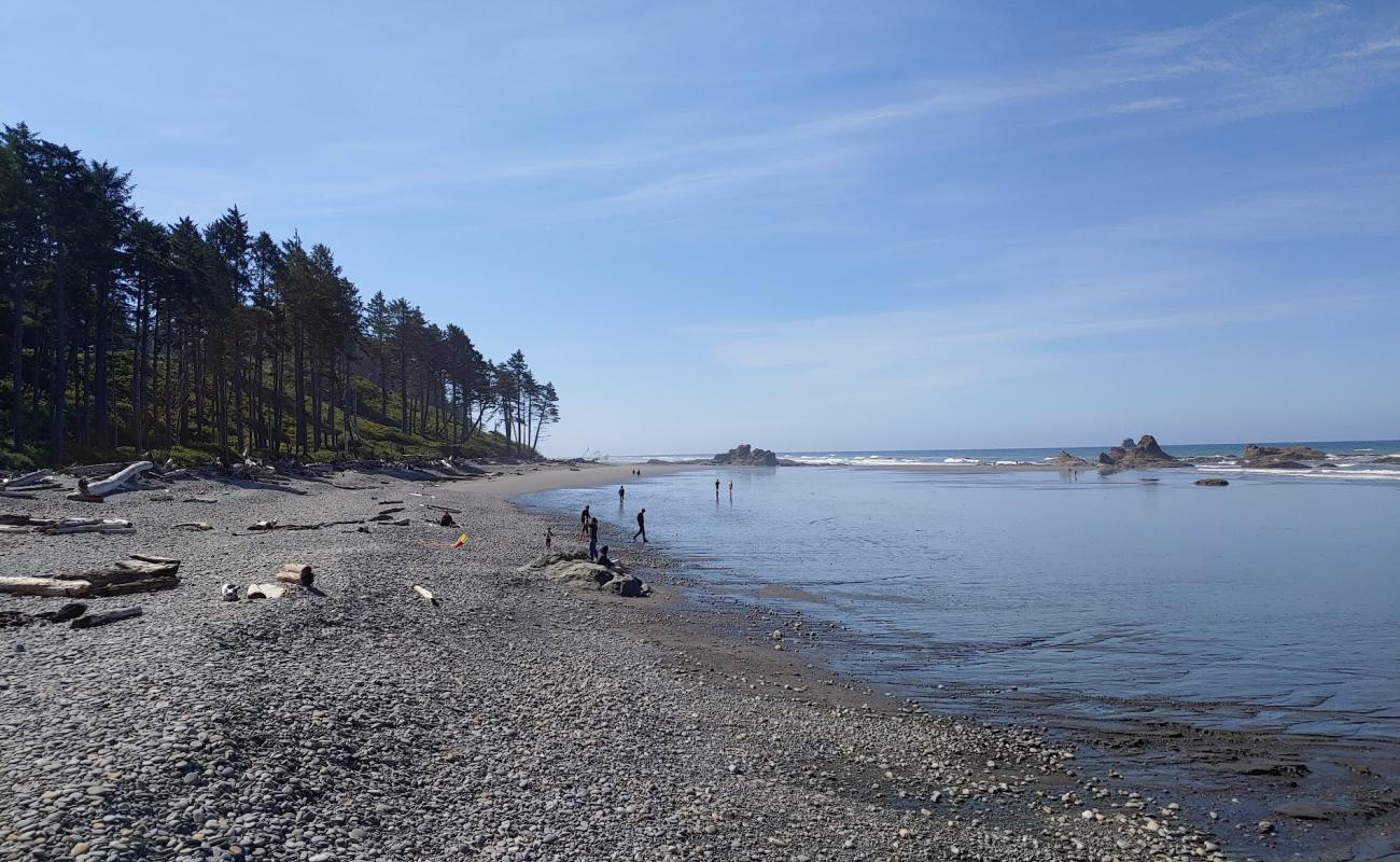 Foto af Mosquito Creek Beach med gråt sand og sten overflade