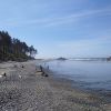 Mosquito Creek Beach