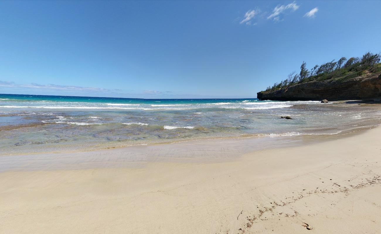 Foto af Ha'ula Beach vildt område