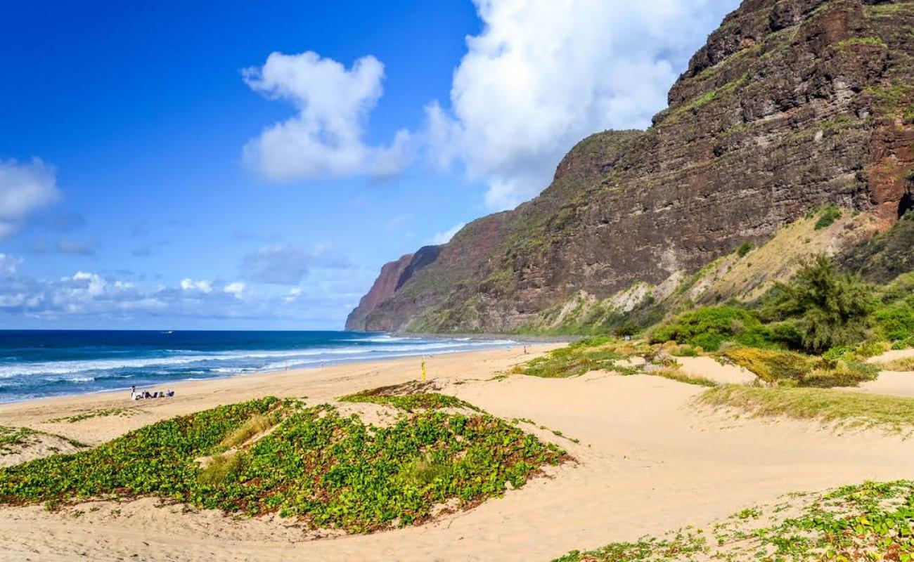 Foto af Polihale State Beach med lys sand overflade