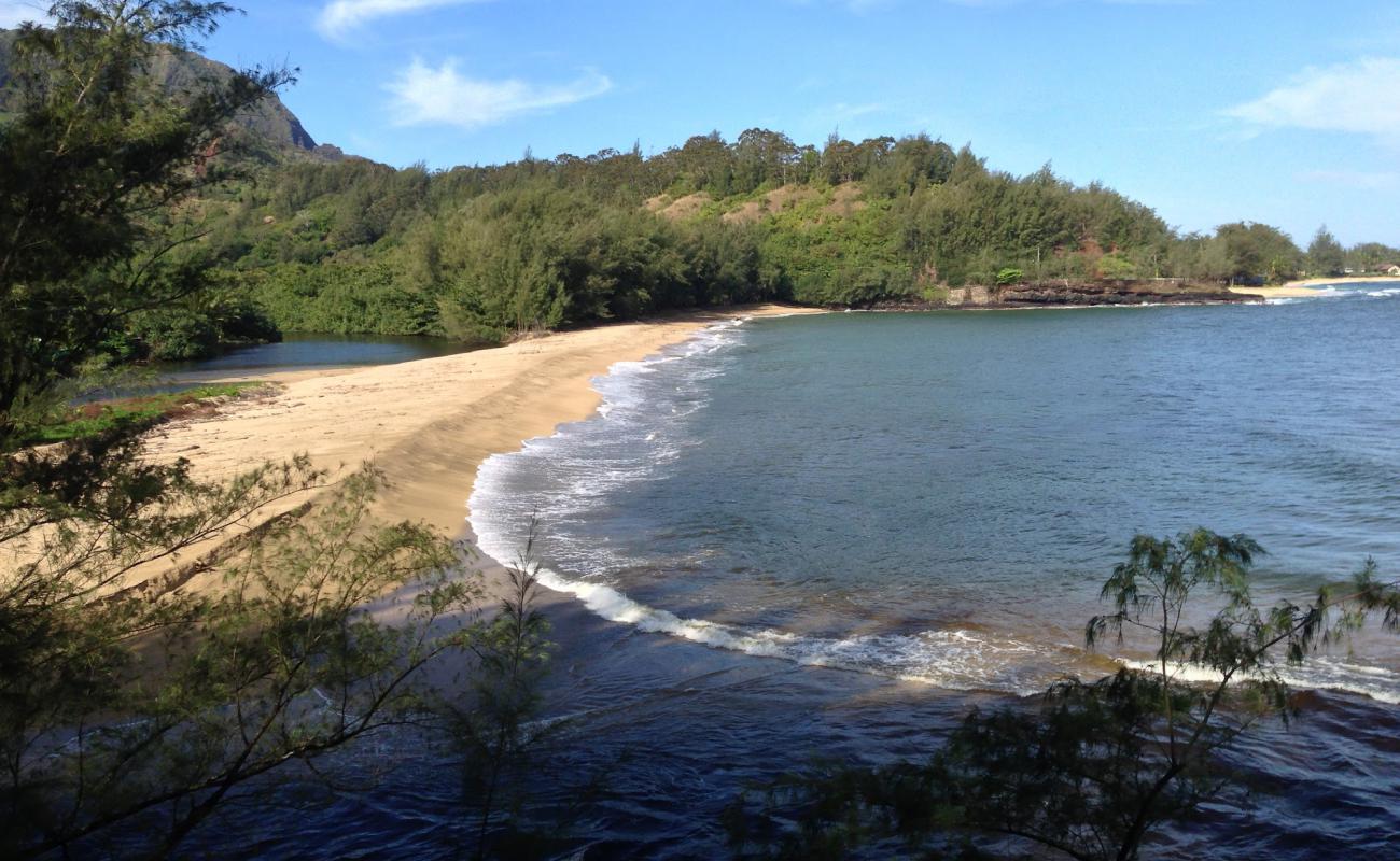 Foto af Wainiha Beach med lys sand overflade