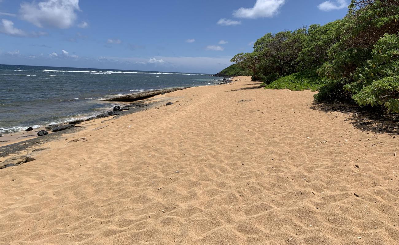 Foto af Larson's Beach med lyst sand & sten overflade