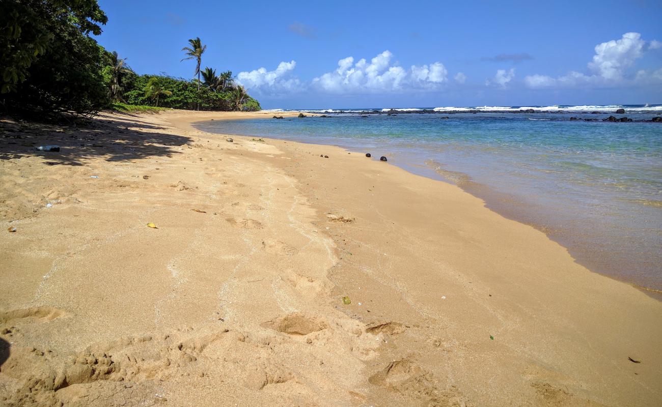 Foto af Papa'a Bay Beach med lyst sand & sten overflade