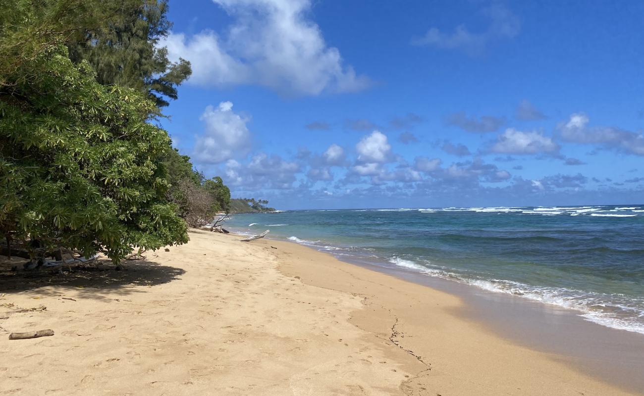 Foto af Anahola Beach II med lys sand overflade