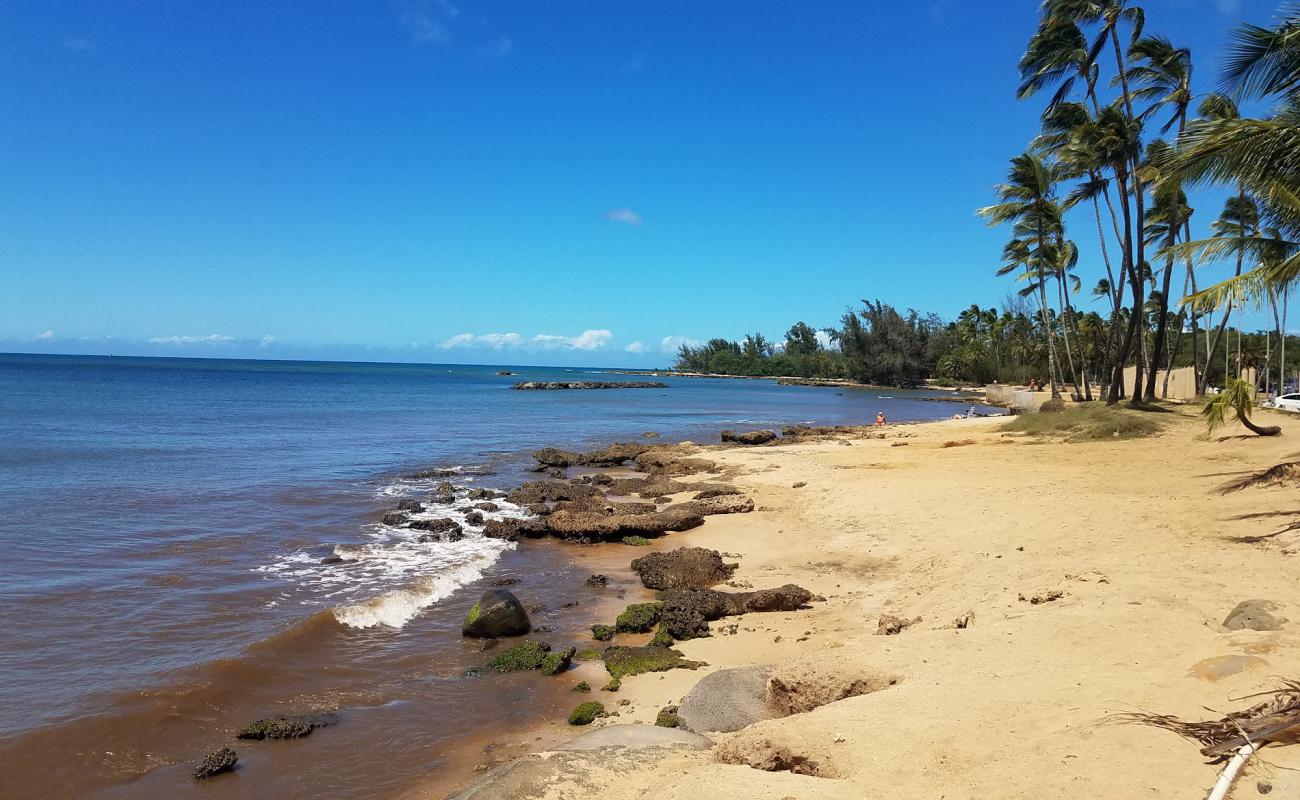 Foto af Hale'iwa Beach Park med lys sand overflade