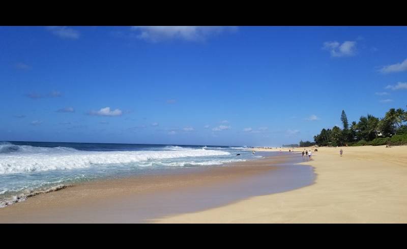 Foto af Ehukai Beach med lys sand overflade