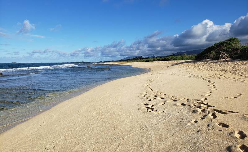 Foto af Kahuku Beach med lyst sand & sten overflade