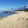 Kahuku Beach