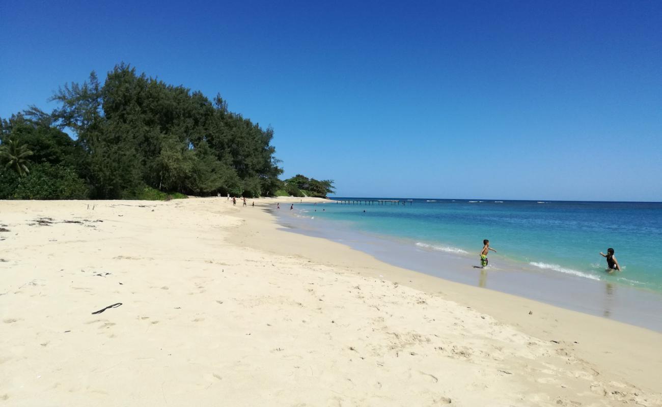 Foto af Pounder's Beach med lys sand overflade