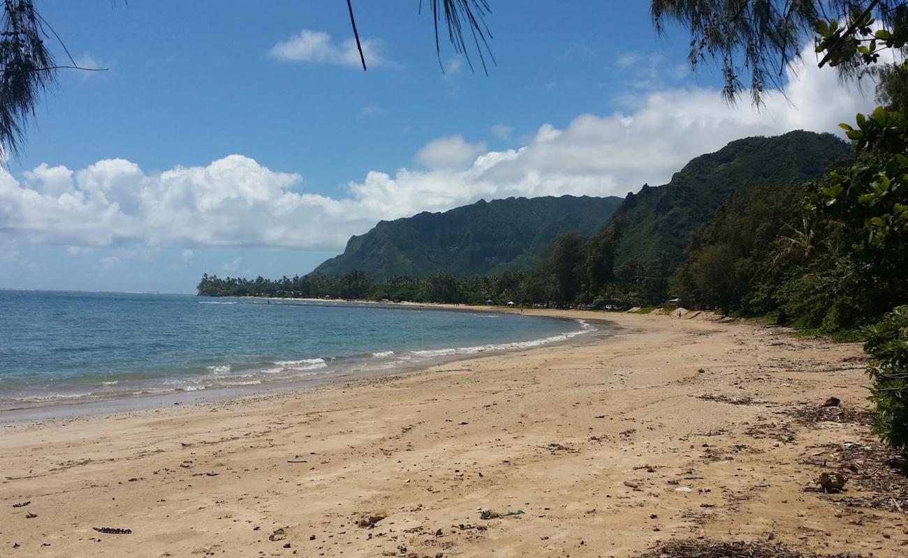 Foto af Punalu'u Beach Park med lys sand overflade