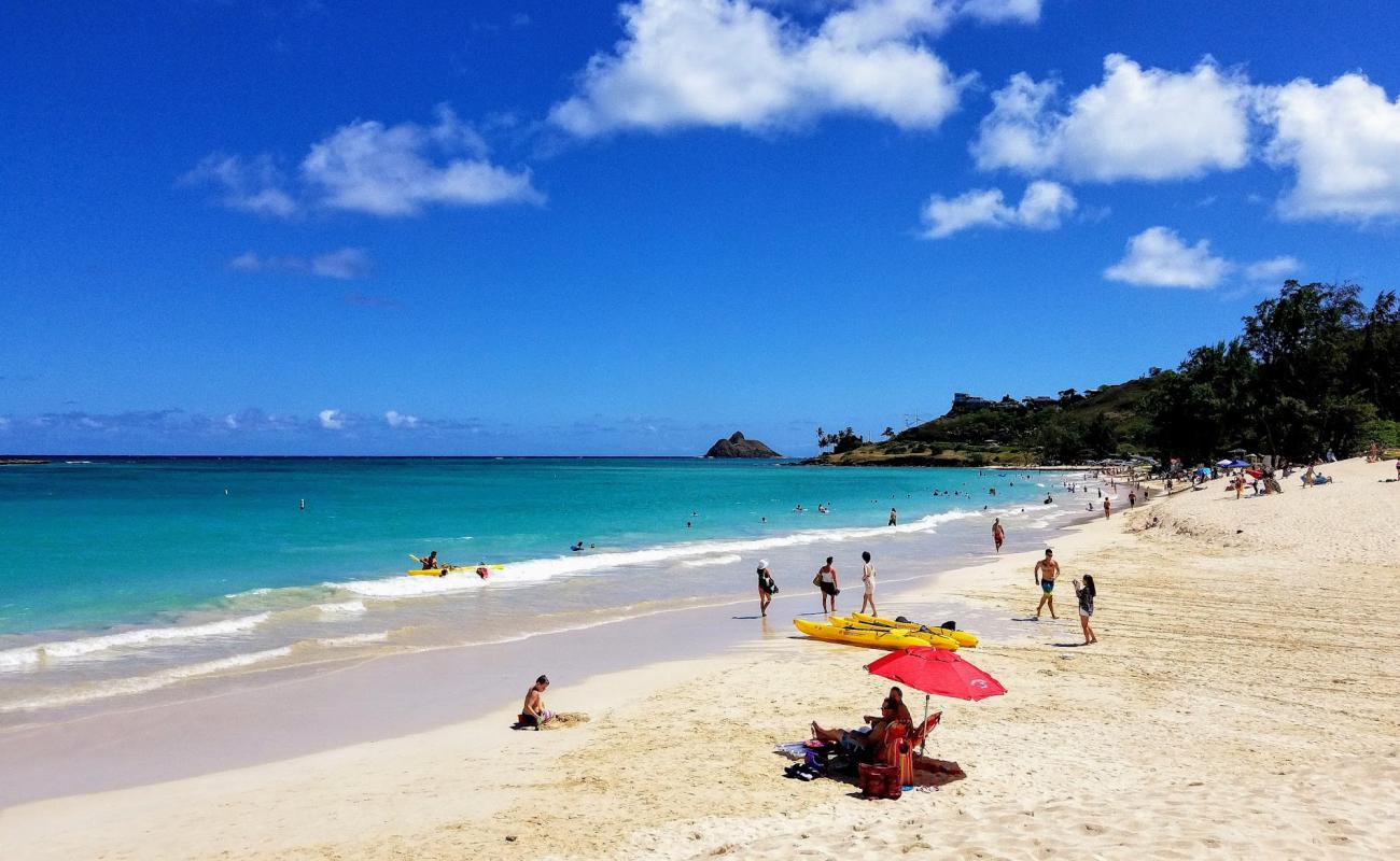 Foto af Kailua Beach Park med lys fint sand overflade