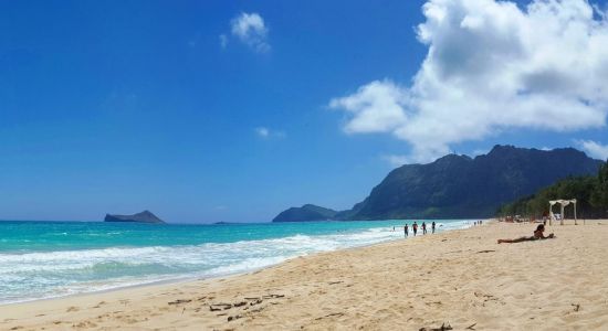 Bellow Surf Spot Beach