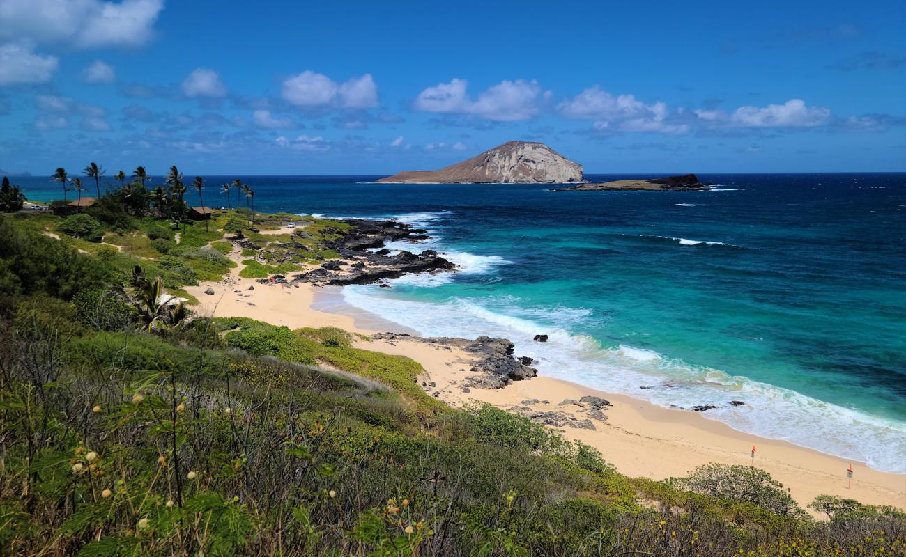 Foto af Makapuu Strand med lys fint sand overflade