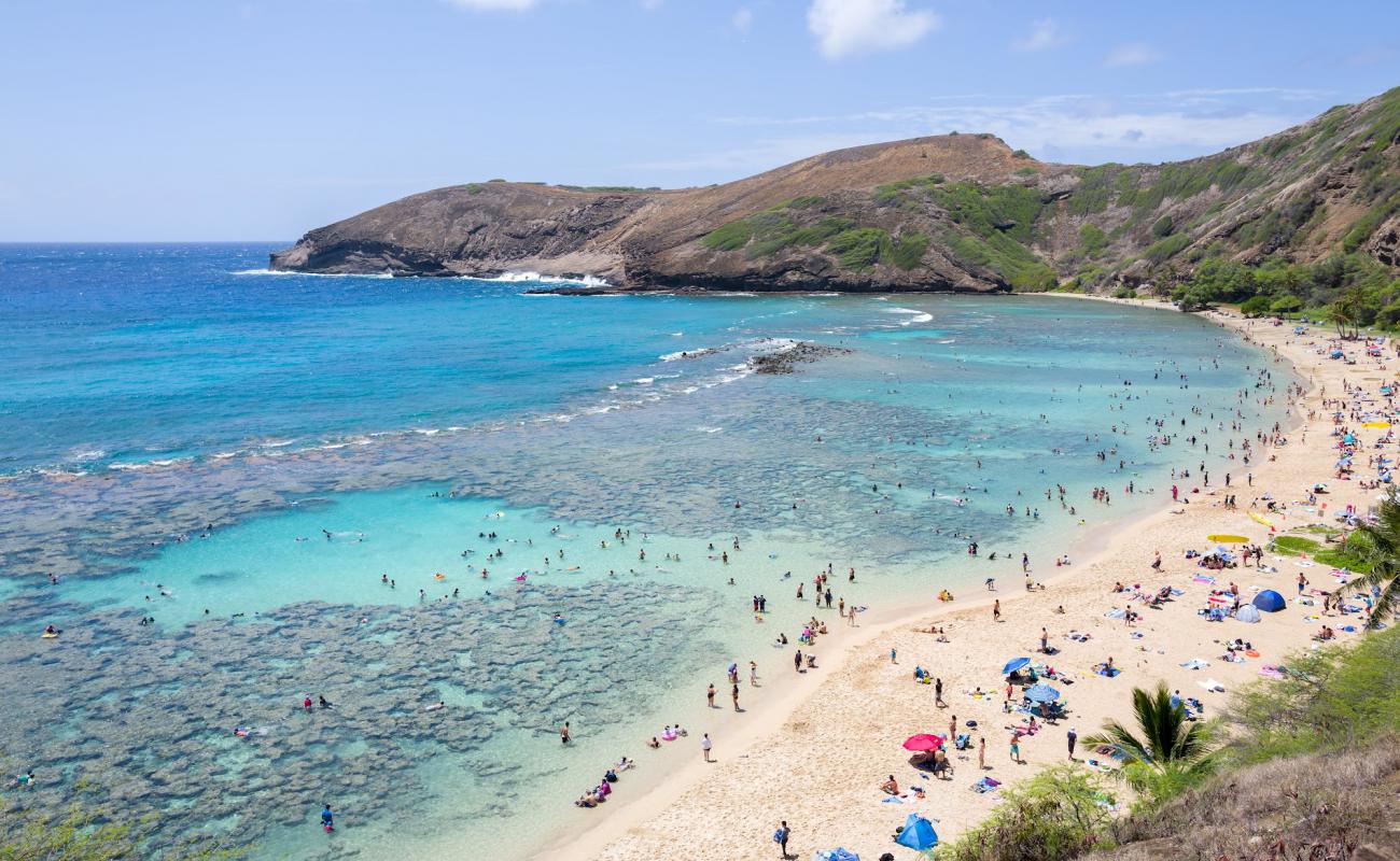 Foto af Hanauma Bay med lys fint sand overflade