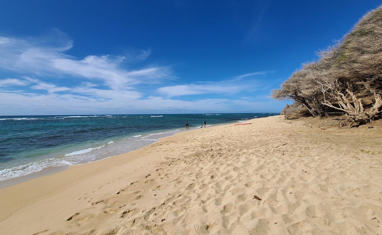 Foto af Diamond Head Beach Park med lyst sand & sten overflade