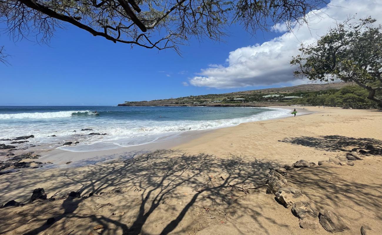 Foto af Hulopo'e Beach med lys sand overflade