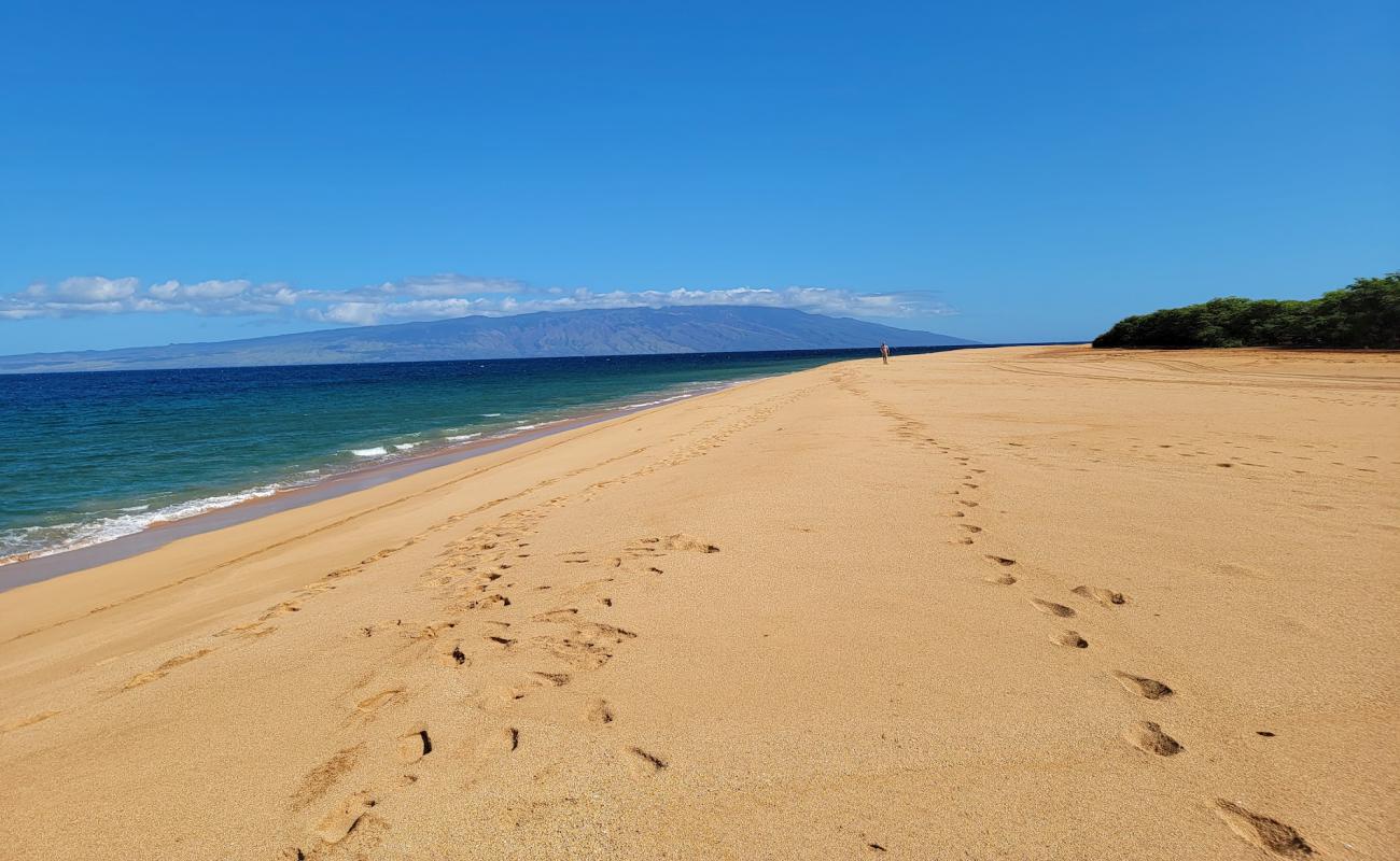 Foto af Polihua Beach med lys sand overflade