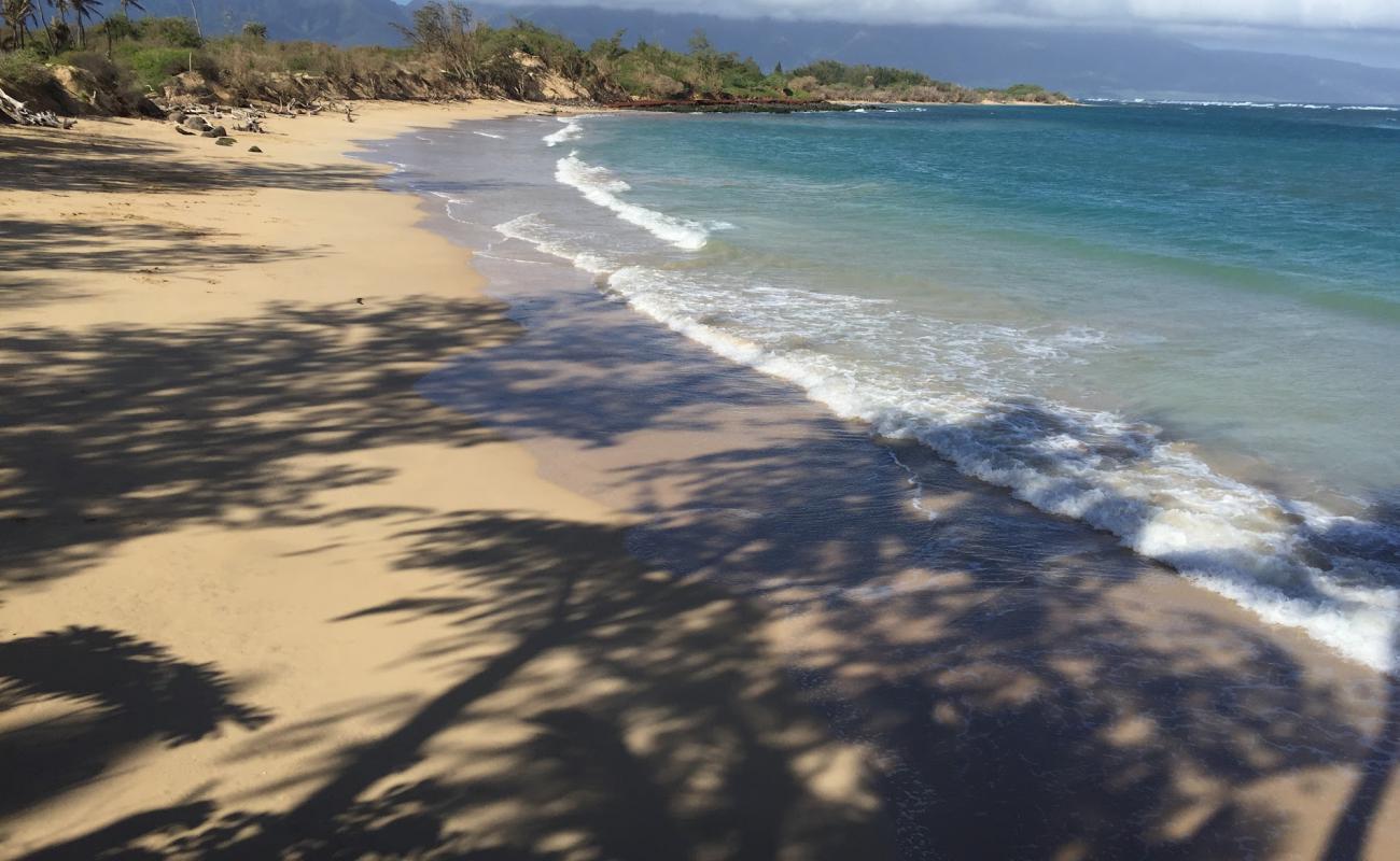 Foto af VOR Beach II med lys sand overflade