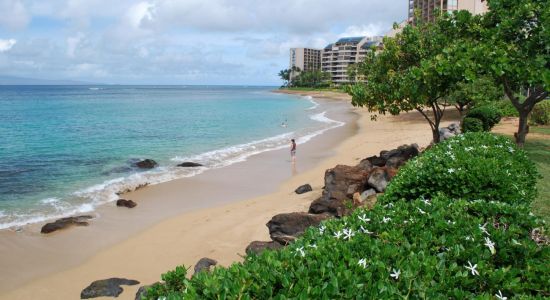 Pohaku beach