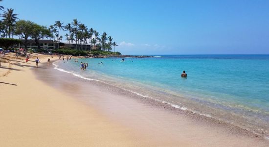 Napili Bay Strand