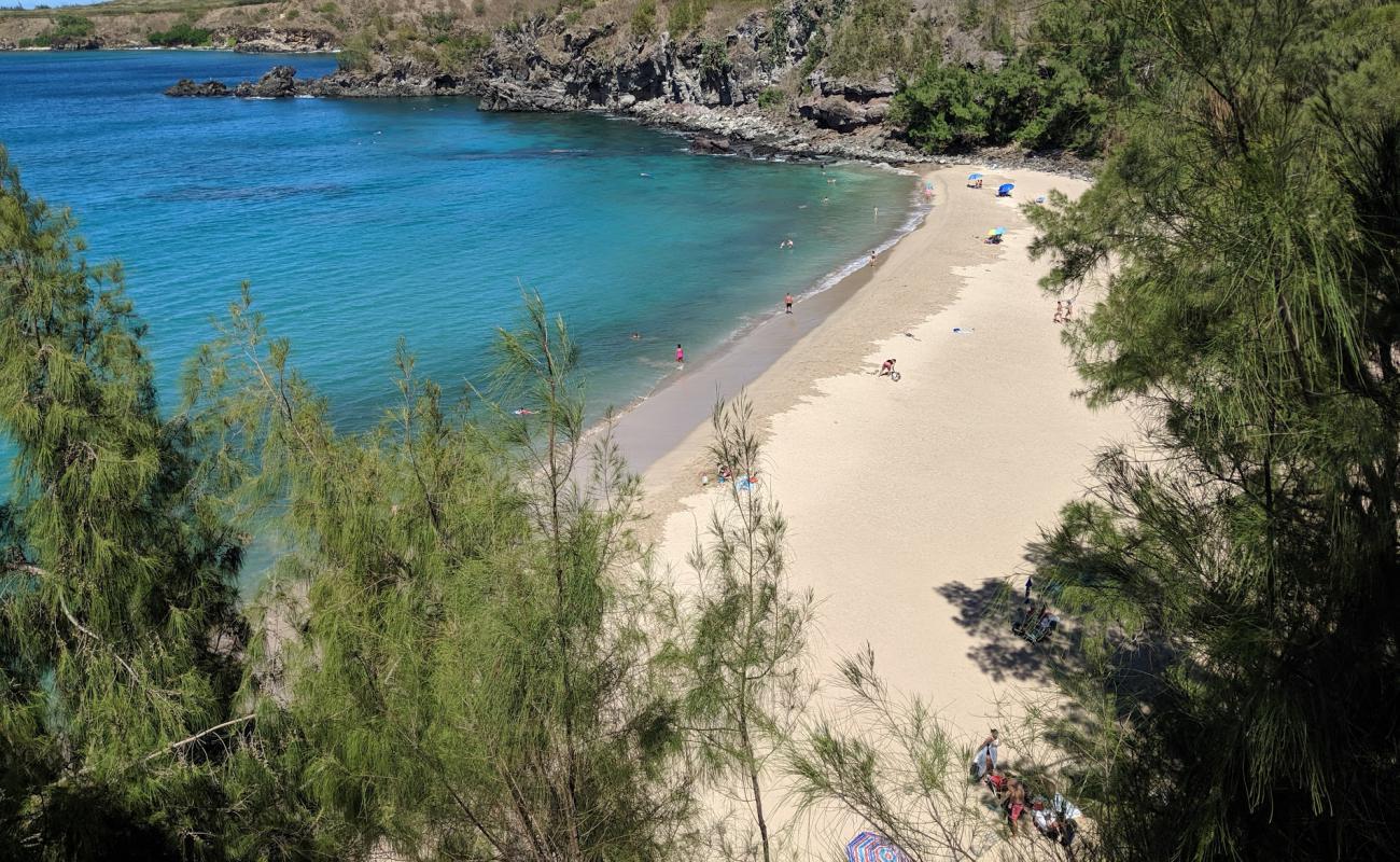 Foto af Slaughterhouse Beach med lys sand overflade