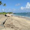 Waiehu Beach