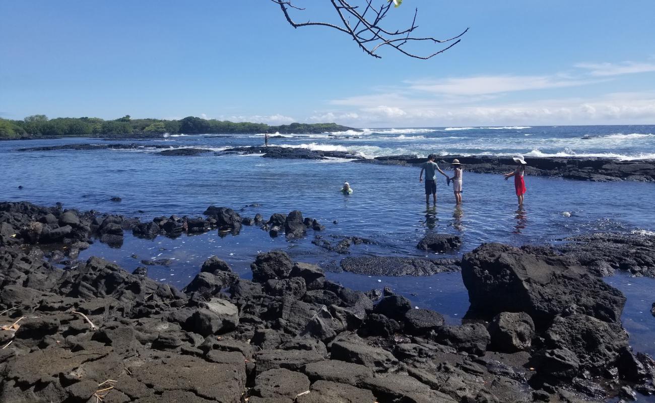 Foto af Whittington Beach med sten overflade