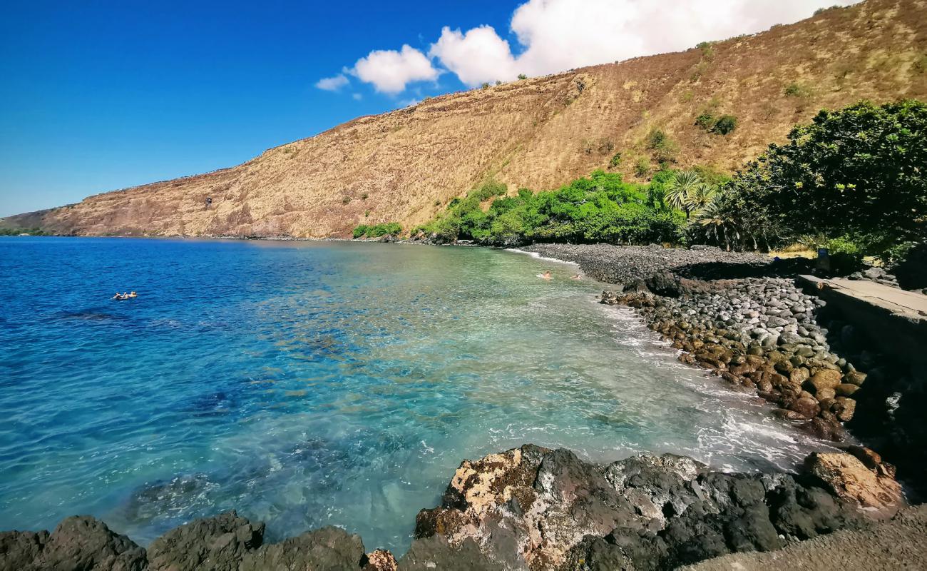 Foto af Kealakekua Beach med sort sten overflade