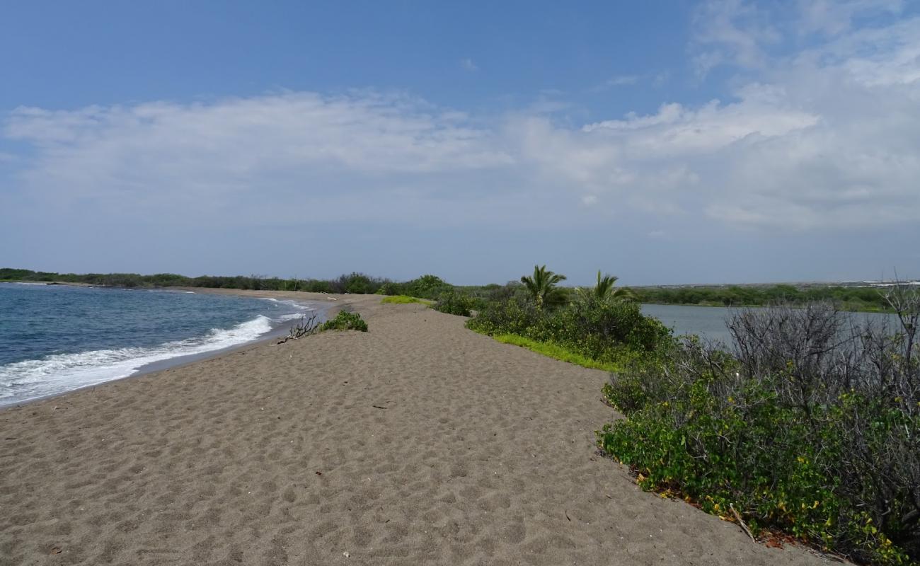 Foto af Honokohau Beach med grå sand overflade