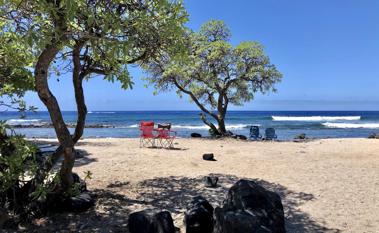 Foto af Pine Trees Beach med lyst sand & sten overflade