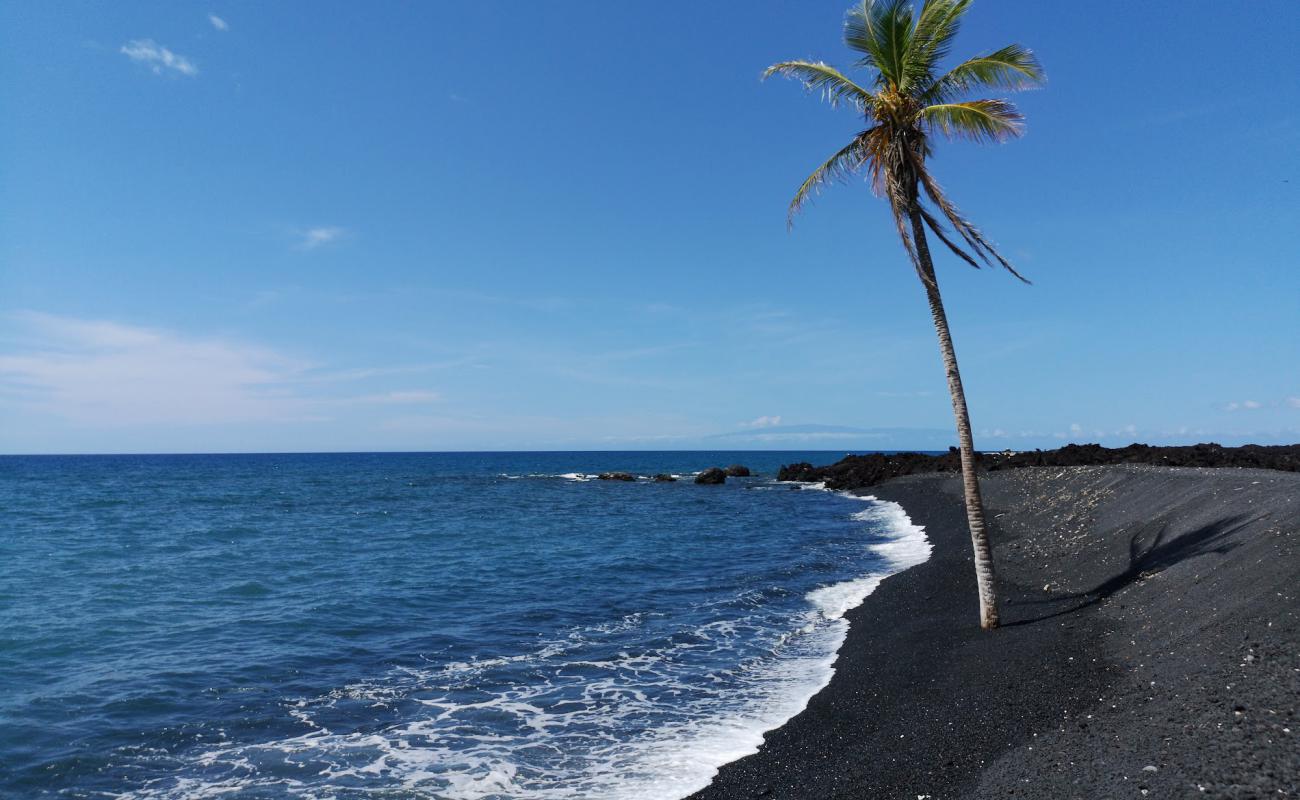 Foto af Lone Palm beach med grå sten overflade