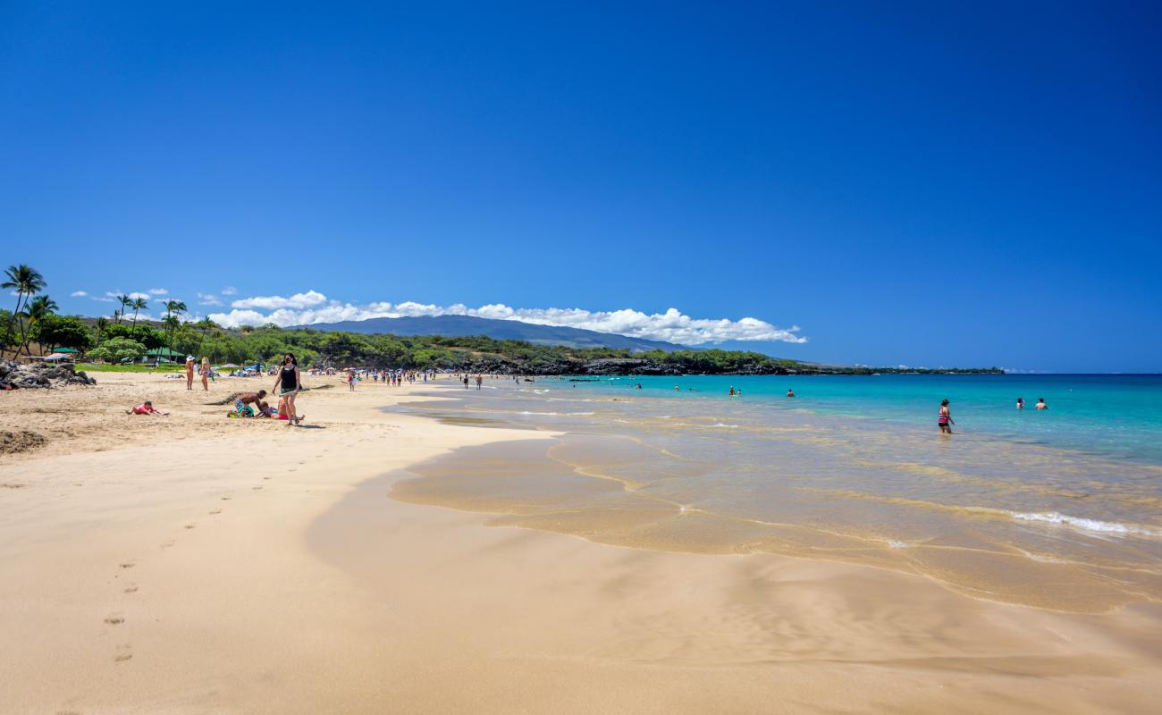 Foto af Hapuna Beach med lys fint sand overflade