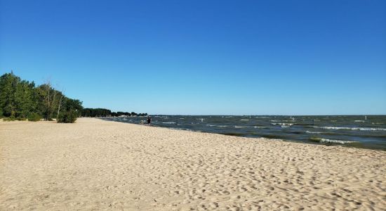 Bay City State Park Beach