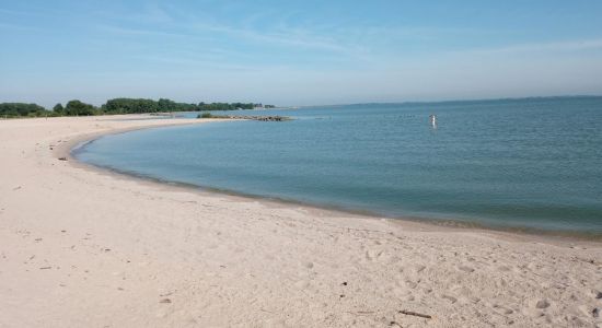 Maumee Bay State Park Beach