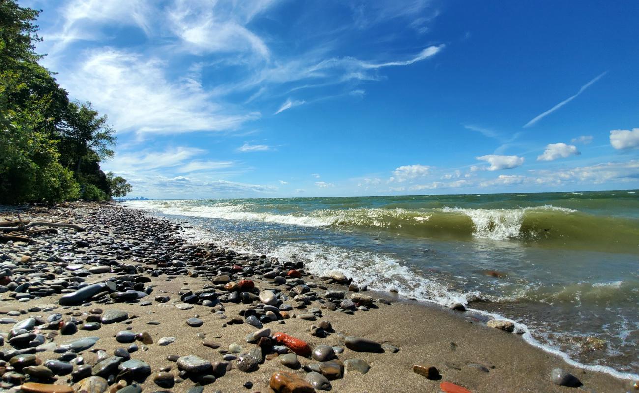 Foto af Arcadia Beach med lyst sand & sten overflade