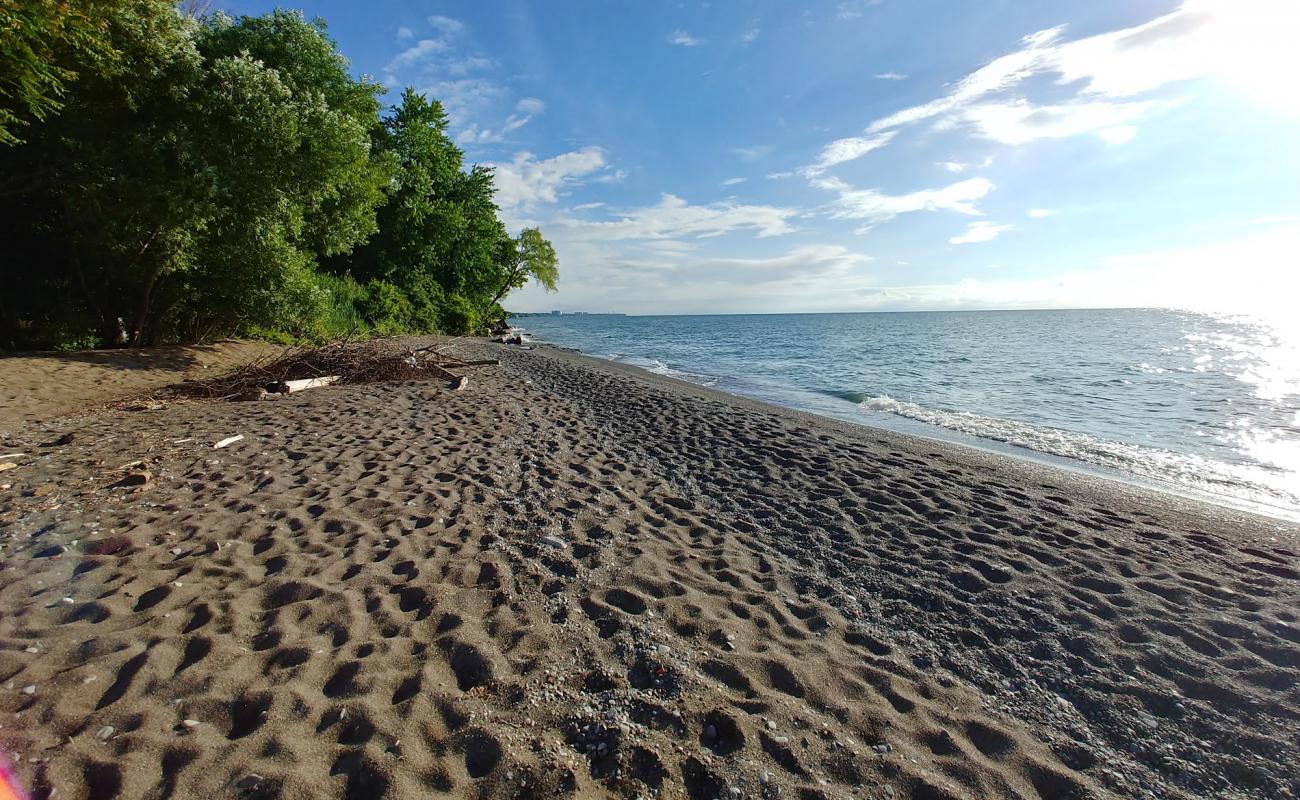 Foto af Timberlake Residents Beach med grå sten overflade