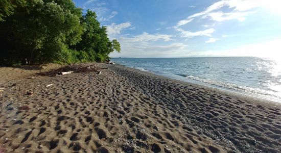 Timberlake Residents Beach