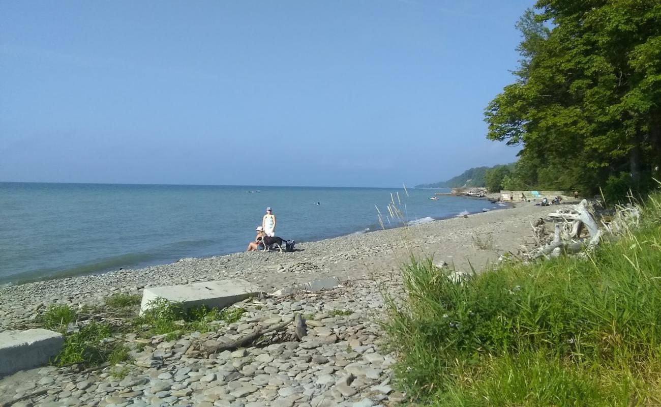 Foto af Avonia Beach med grå sten overflade